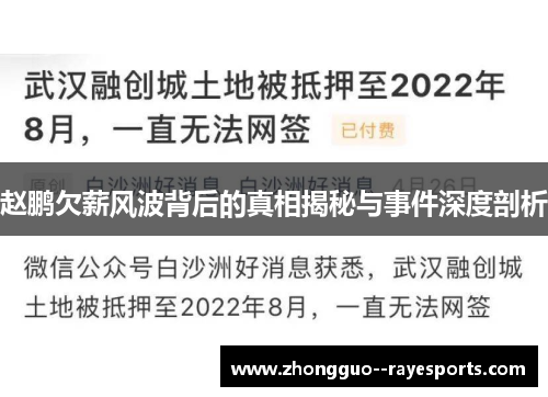 赵鹏欠薪风波背后的真相揭秘与事件深度剖析