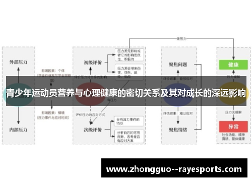 青少年运动员营养与心理健康的密切关系及其对成长的深远影响